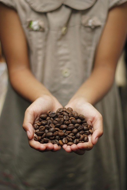 Le café est-il bon pour la santé ? Bienfaits, risques et idées reçues 4 Le café est-il bon pour la santé
