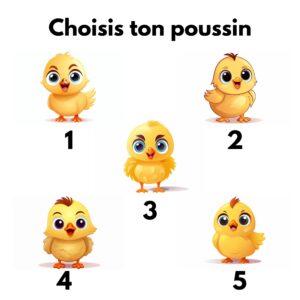 Maman Poule